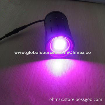 30W COB LEDs, Hydroponic Plants Grow Light for Indoor Garden/Agriculture/Greenhouse Farms Growth